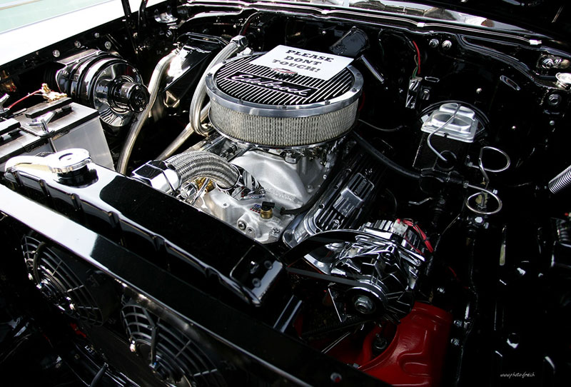V8_Umbau.jpg