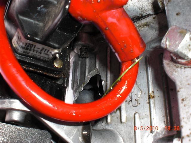 CIMG0585.jpg