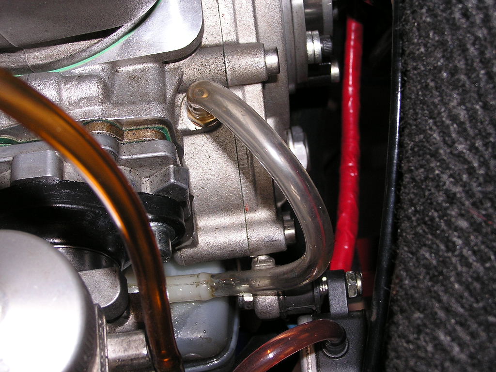 berlauf03.jpg