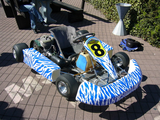 RabbitZebra_2.jpg