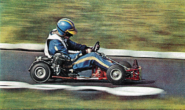 rp_go-cart_66.jpg