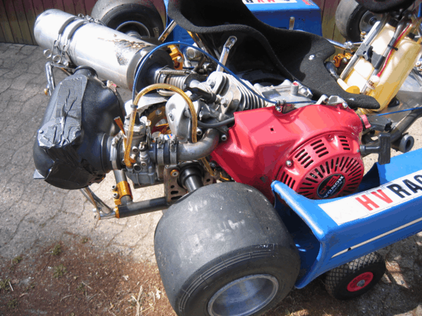 IMG_8006_596x447.gif
