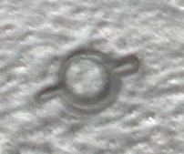 Kreisel.jpg