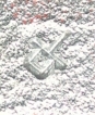 reisnagel.jpg