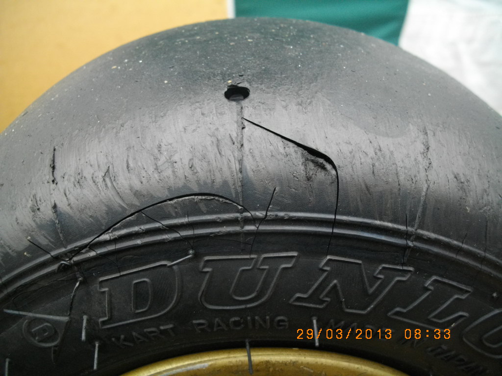 IMGP5343.jpg