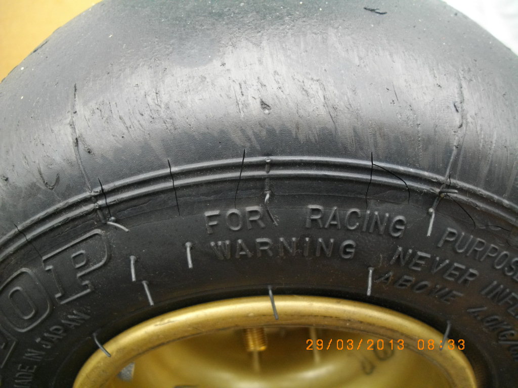 IMGP5344.jpg