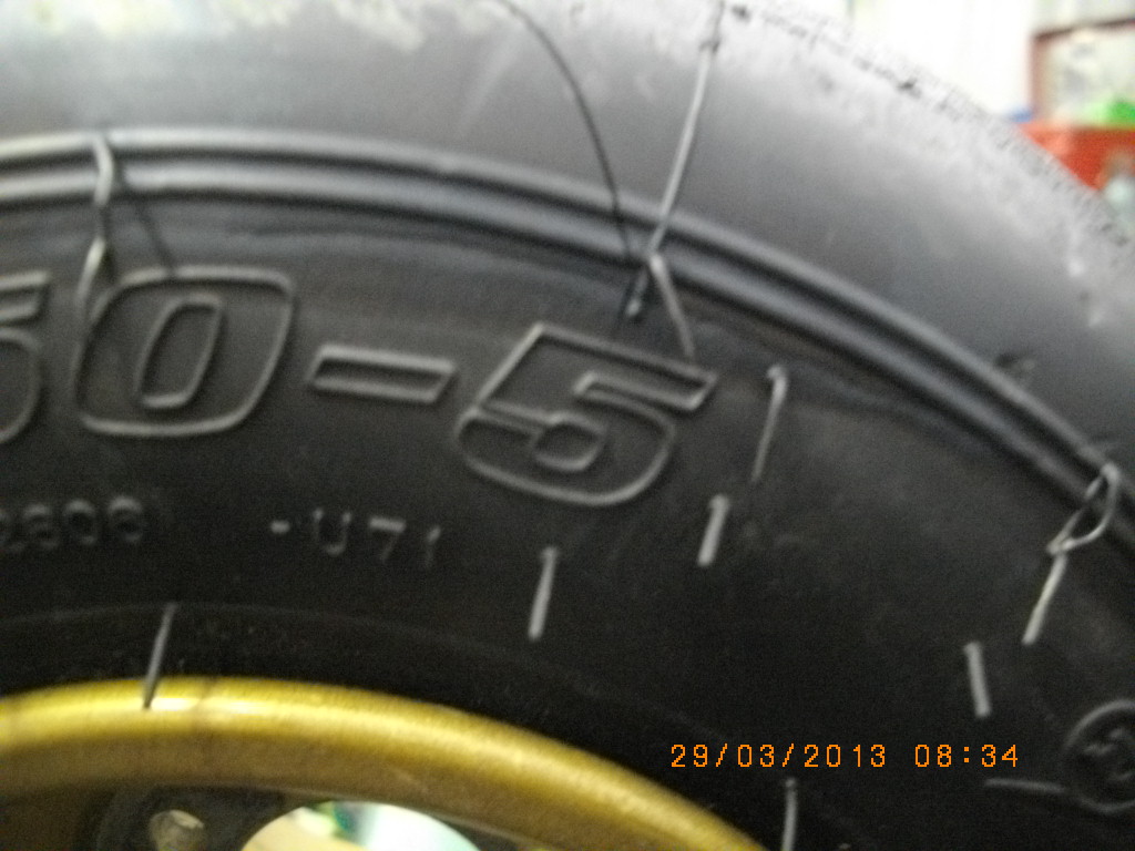 IMGP5346.jpg