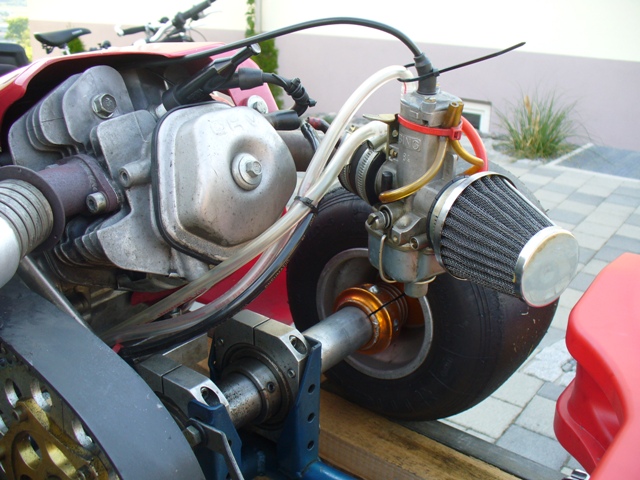 P1060541.jpg