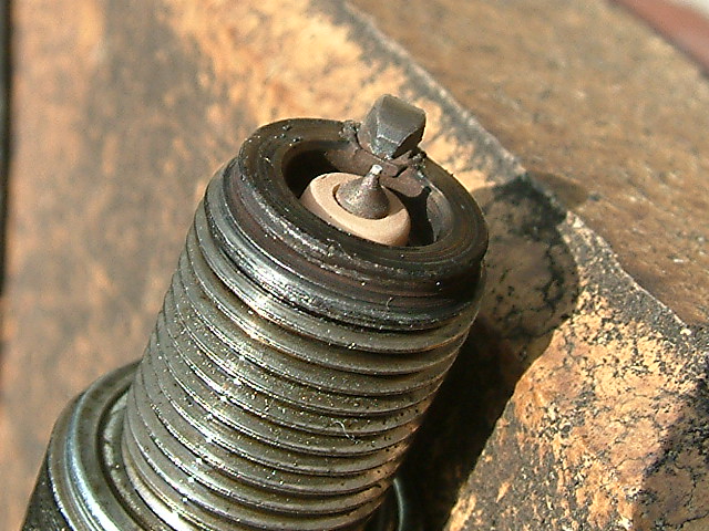 DSCF0590.jpg