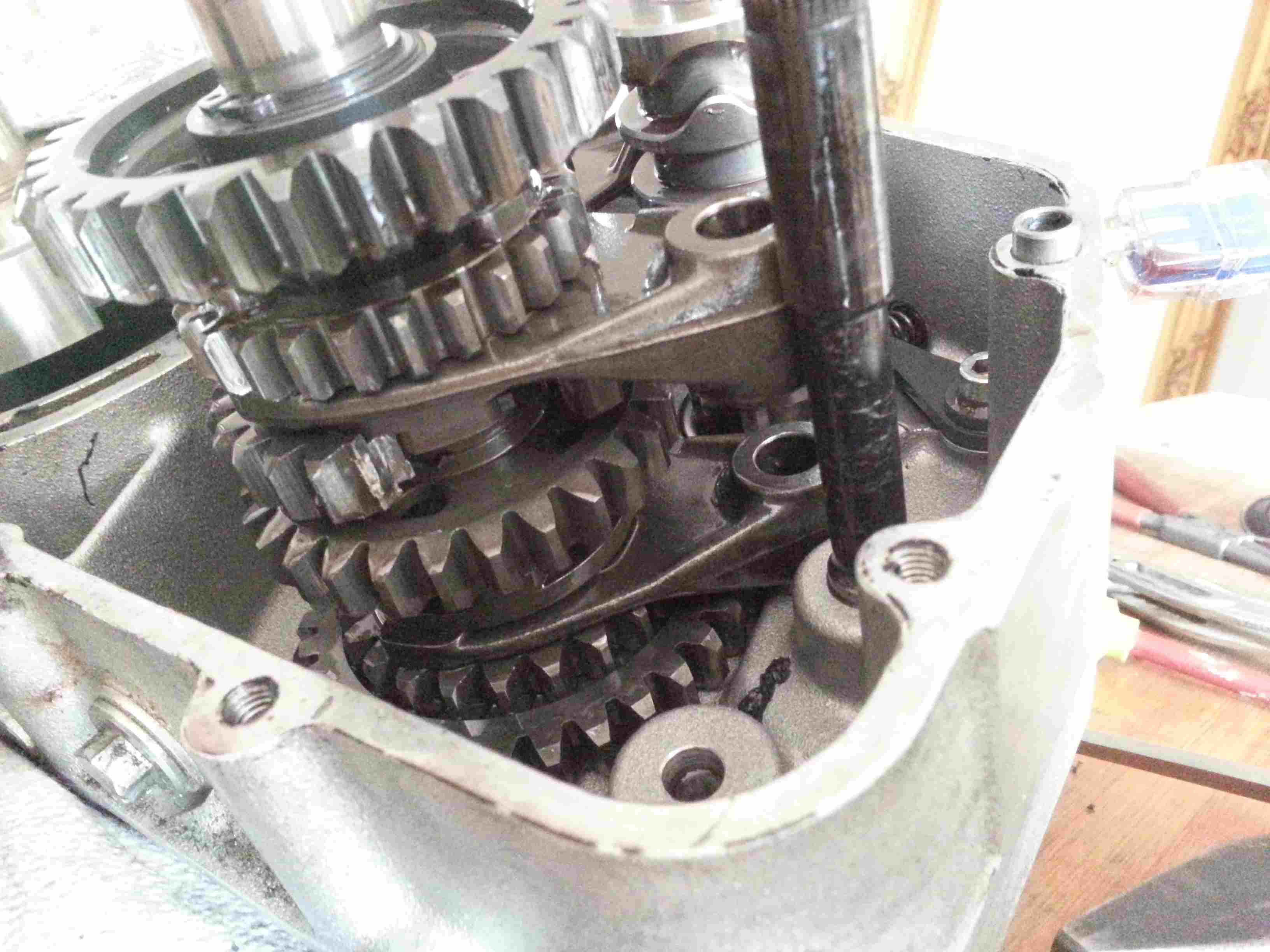 20140517_110545.jpg