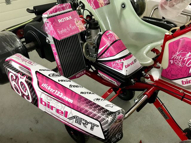 kart_pink2.jpg