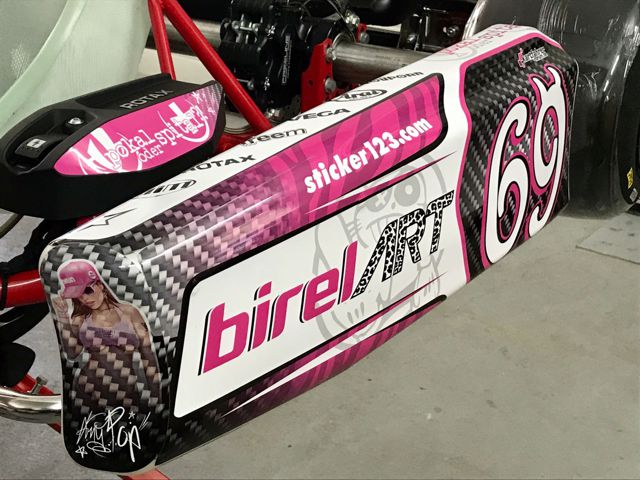 kart_pink3.jpg