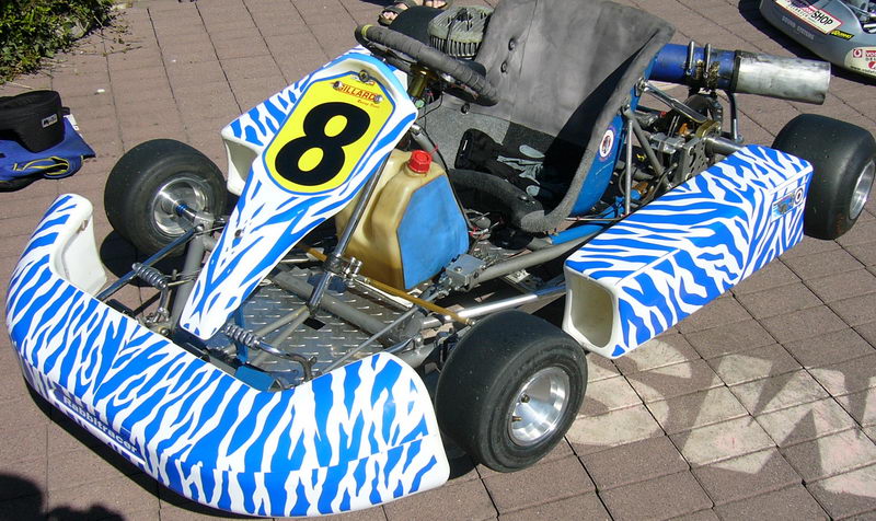 Zebra-4.jpg