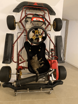 tempImagepKRrL7.gif