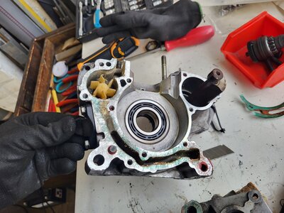 20250312_170436.jpg