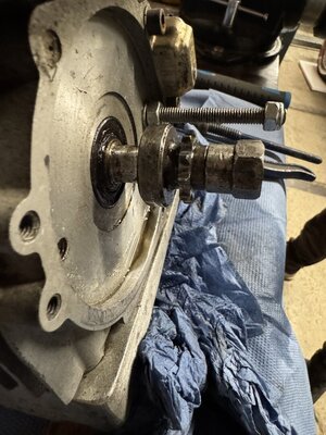 IMG_9436.jpeg