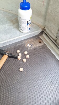 IMG-20250805-WA0009.jpeg