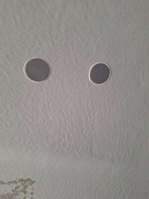 20250824_122443.jpg