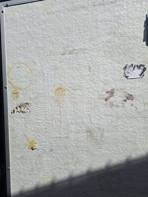 20250824_123758.jpg