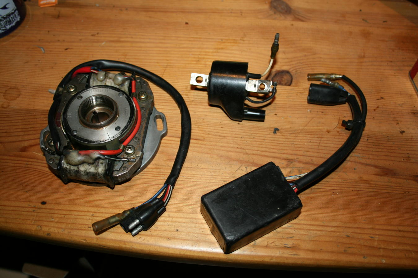 bild1.jpg