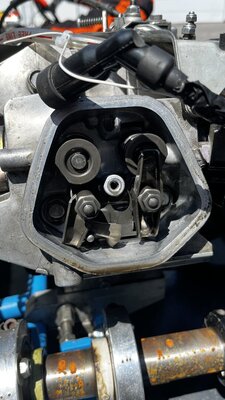 IMG_8213.jpeg
