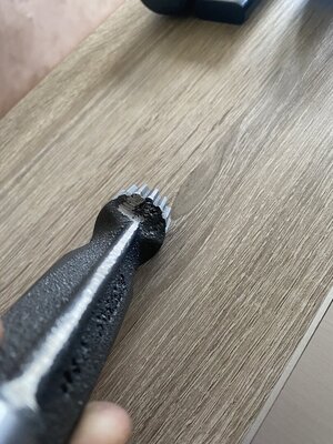 IMG_5311.jpeg