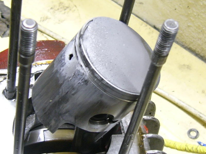 Fresser 1f.jpg