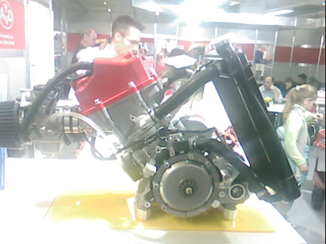 IMG343.jpg