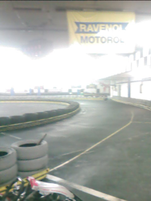 IMG488.jpg