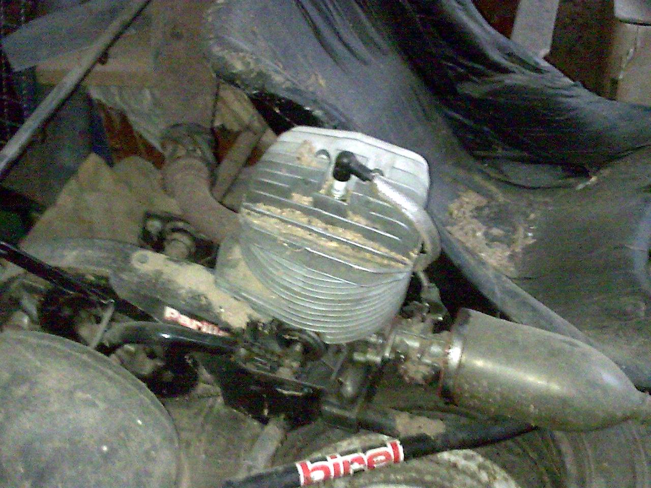 Bild001opti.jpg