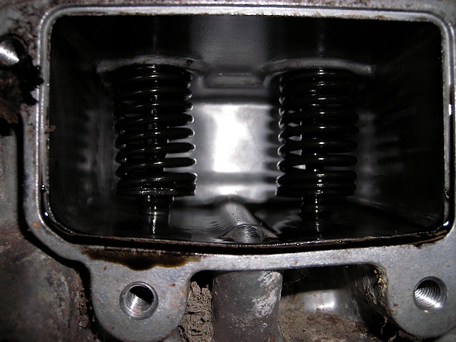 Ventilfedern.jpg