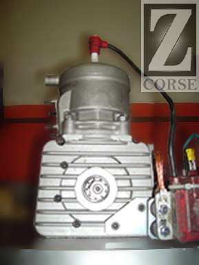 zcorse engines 100ccm.web.jpg
